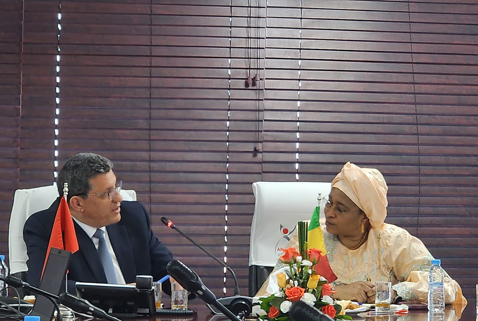 Read more about the article L’ANAM reçoit la  Ministre de la Santé et du Développement Social de la République du Mali